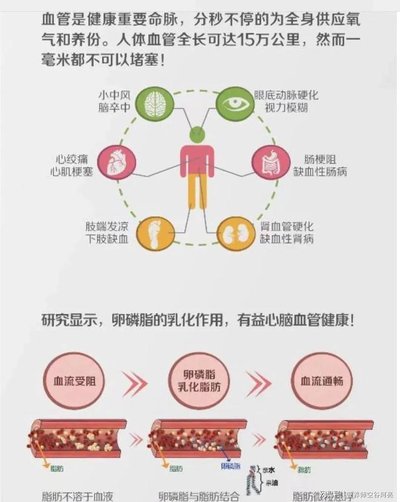 卵磷脂的作用 卵磷脂什么人不适合吃