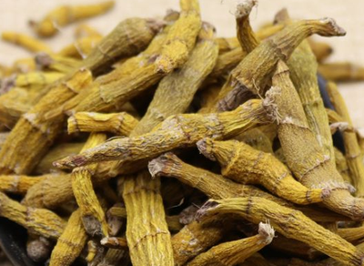 石斛的功效与作用（石斛主要治什么病）