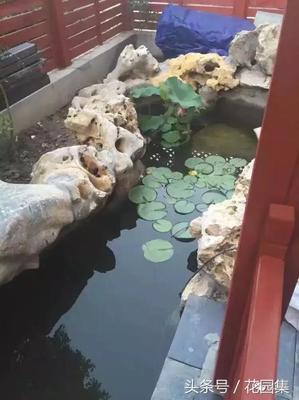 家庭鱼池设计