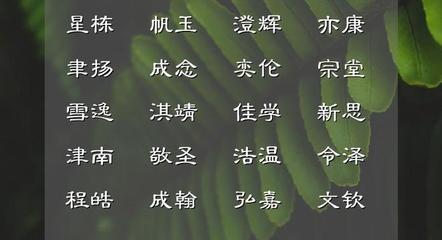 佳在名字中的寓意