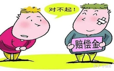 民事赔偿赔不起怎么办