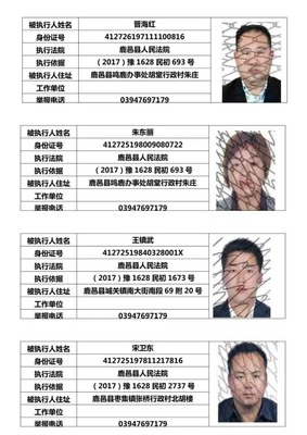被执行失信人