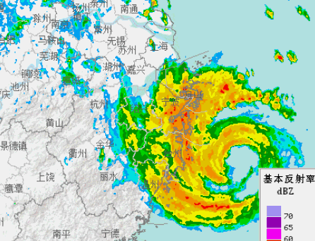 台风梅花