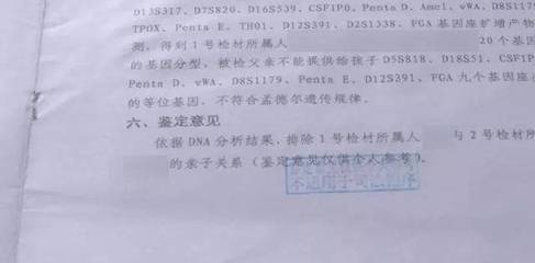 亲子鉴定报告书样本