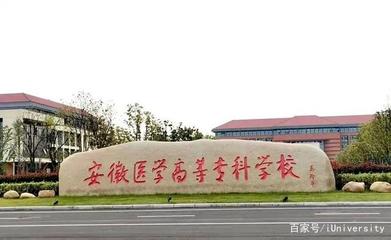 合肥安医专学校