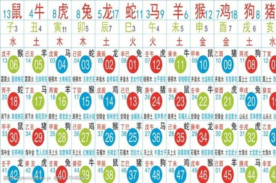 12生肖图表
