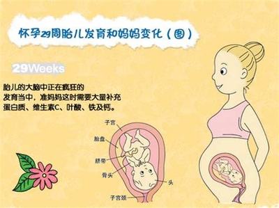 怀孕多少周算是足月胎儿
