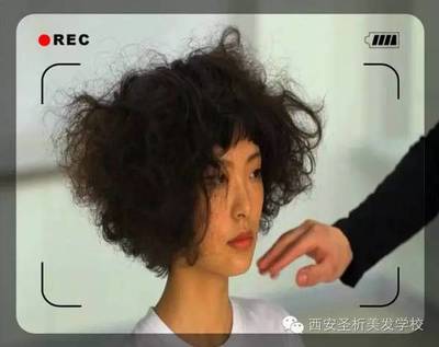 发型师会喜欢上顾客吗