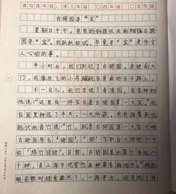 汉字影响了我800字作文怎么写