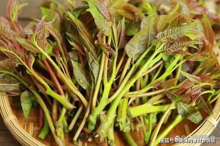 炒香椿酱的制作方法
