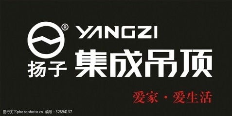 扬子吊顶