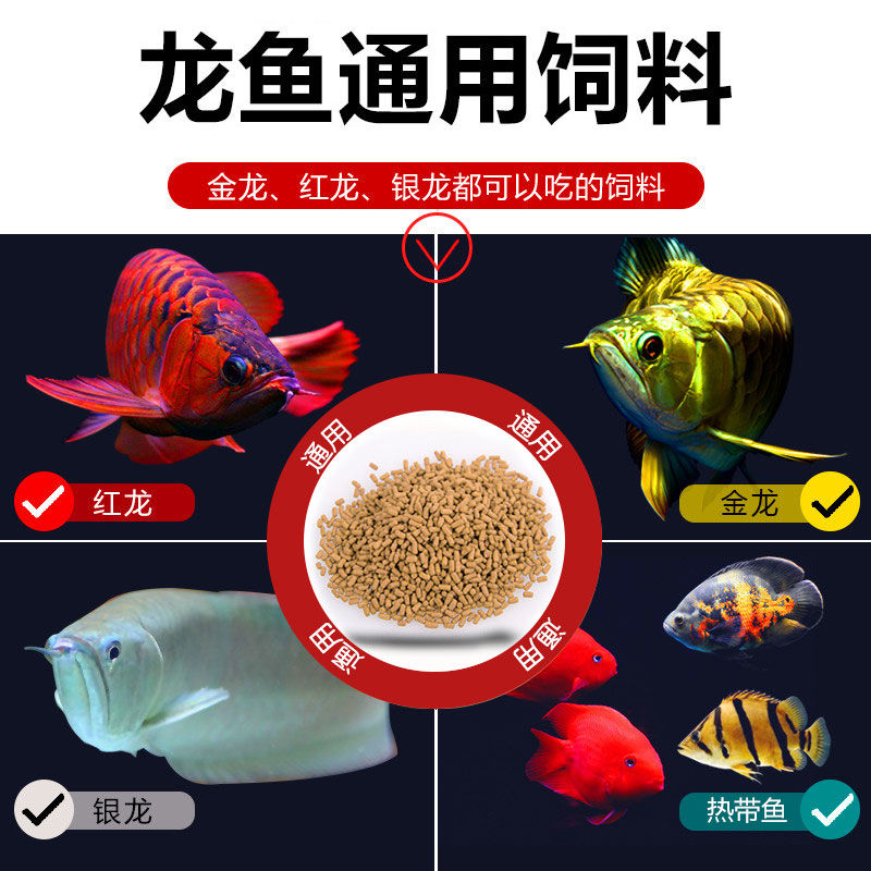 高碑店市高碑店亮點(diǎn)水族館（高碑店水族市場）