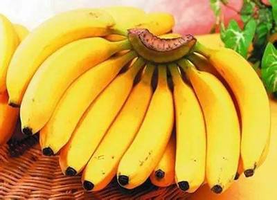 香蕉生的可以吃吗