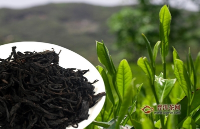 黑茶的效果