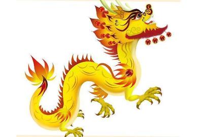 属龙星座
