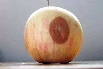 坏苹果,把坏的部分去掉后能吃吗?