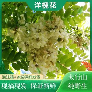 洋槐花泡茶有什么功效