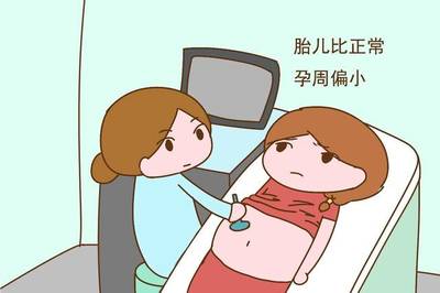 怀孕了需要做哪些检查