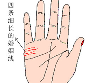 婚姻线4条