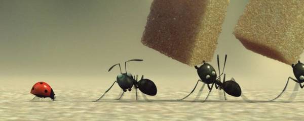 楼上有蚂蚁怎样能彻底消灭
