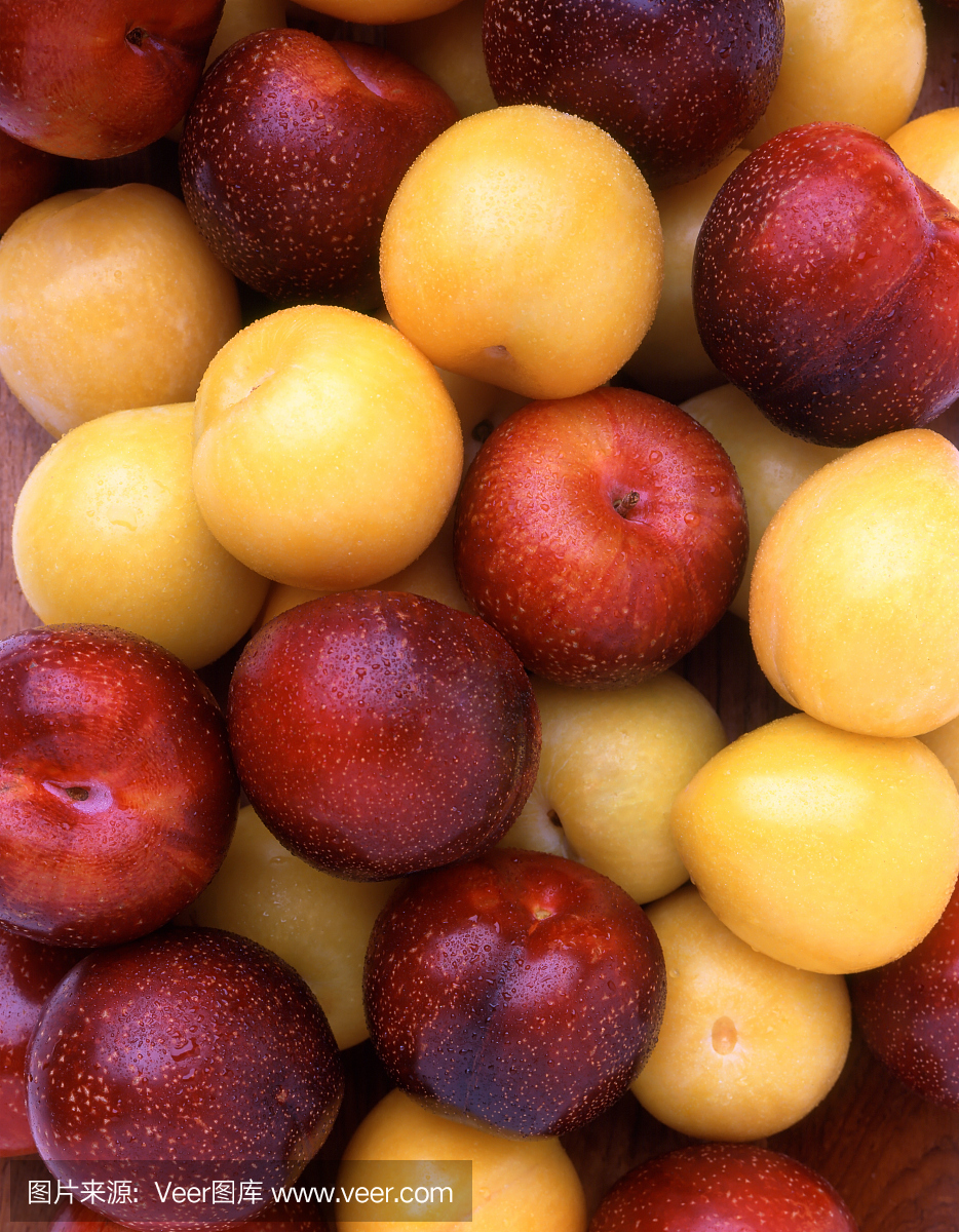 李子杏(植物果实)_360百科