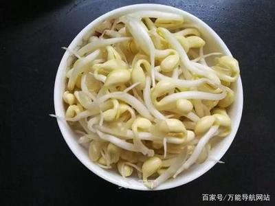 香菇汤可以加豆芽菜
