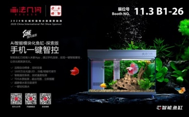 保定二手魚缸水族箱轉(zhuǎn)讓電話號(hào)碼（保定二手魚缸水族箱轉(zhuǎn)讓電話號(hào)碼是多少）