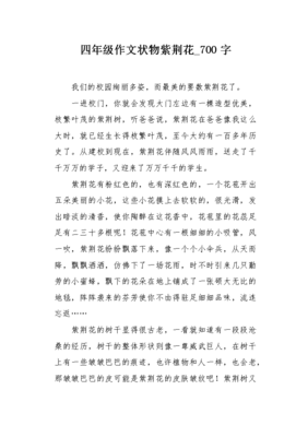 紫荆花作文500字