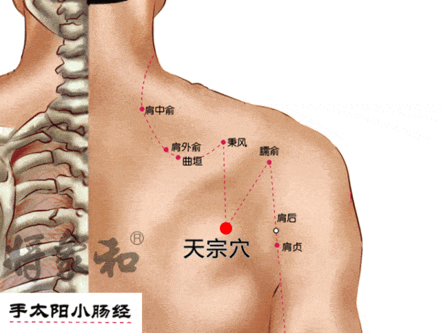 肩中俞疼是怎么回事