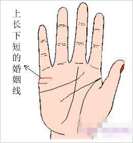 婚姻线一长一短
