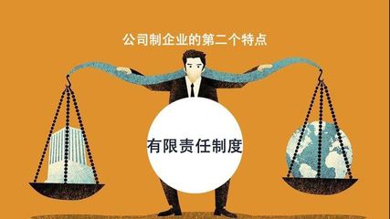 法人和股东承担的责任
