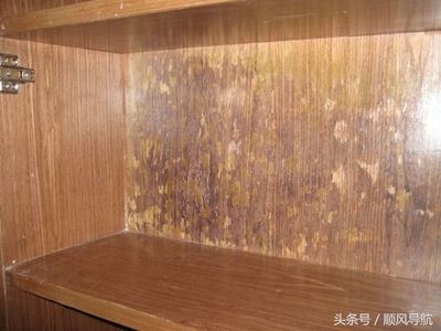 家具受潮发霉怎么处理