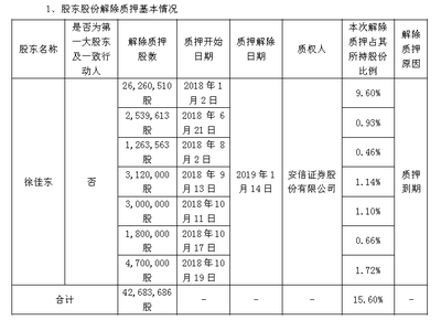 股东基本情况怎么写