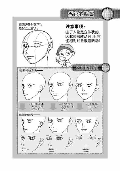 脸型画法