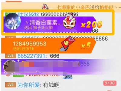 狮子头火箭多少钱