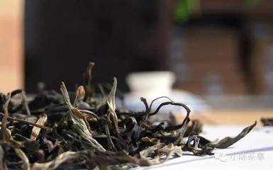 普洱算什么茶