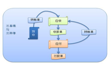 证据形式