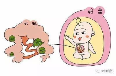 胎儿会拉屎吗