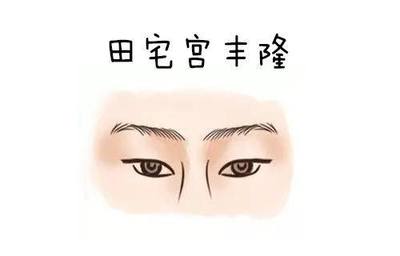 从眉毛看面相