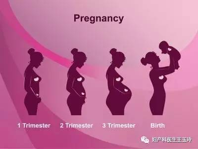 怀孕10月是多少天