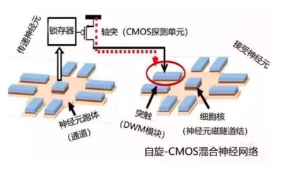 什么是电子接受体