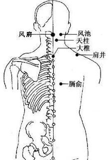 经络治痘痘
