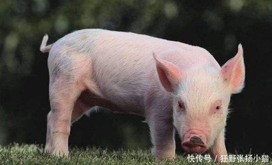 带草字头五行属水的字