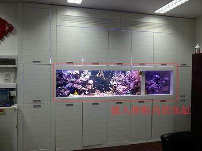 河南水族箱魚缸廠家地址電話（河南水族箱魚缸廠家地址電話號碼） 魚缸/水族箱