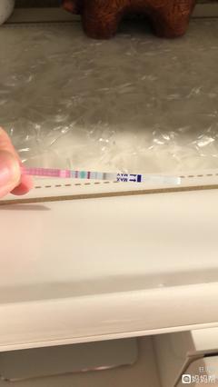 白带和排卵期的关系