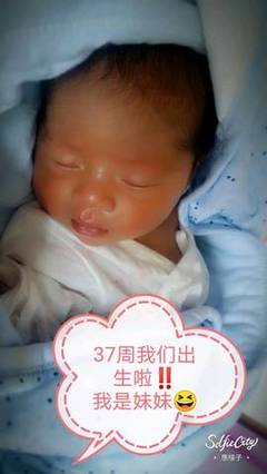 37周多少个月