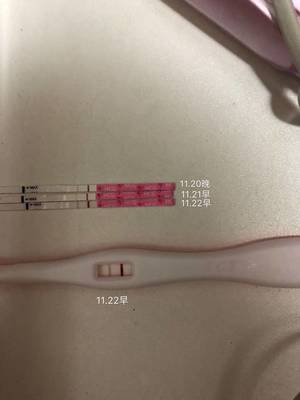 大姨妈前一周会怀孕吗