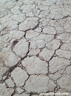 梦见被雨淋是什么意思