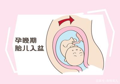 怎么知道胎儿是否入盆