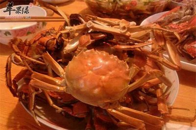 吃螃蟹后能吃蜂蜜吗?吃螃蟹后不能吃什么?